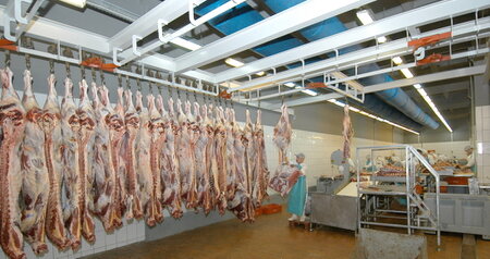 Дезинсекция на мясокомбинате в Дзержинском, цены на услуги